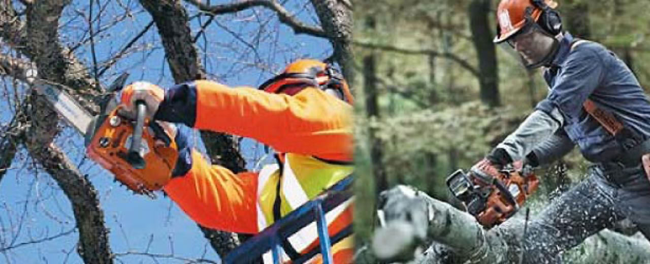 Chainsaw Crosscutting and Maintenance Training Courses, Kent, Essex, Surrey, Sussex, London, South East, UK